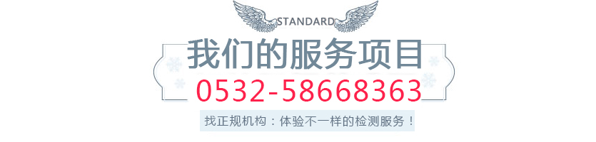 1550806425127297.jpg 我们的服务项目.jpg