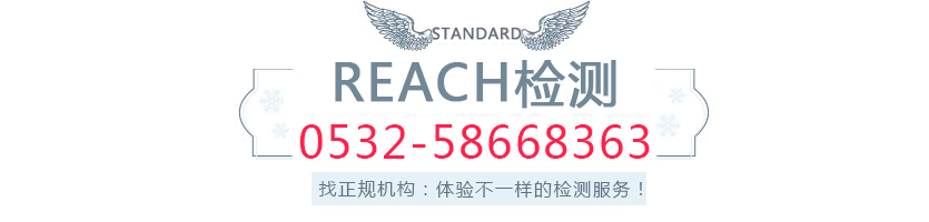REACH.jpg
